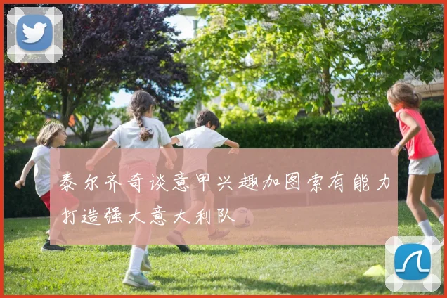 泰尔齐奇谈意甲兴趣加图索有能力打造强大意大利队